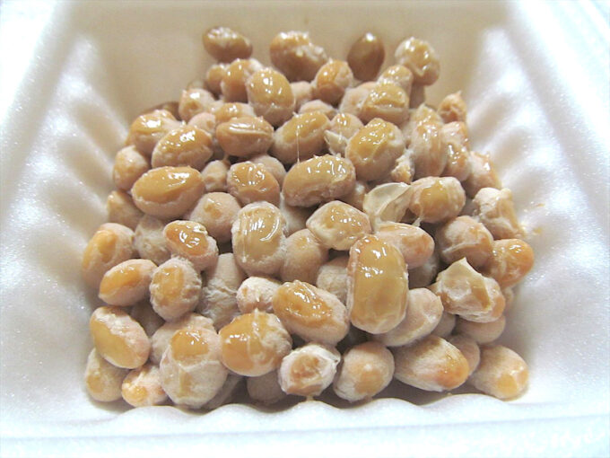 natto-day-20240710-029