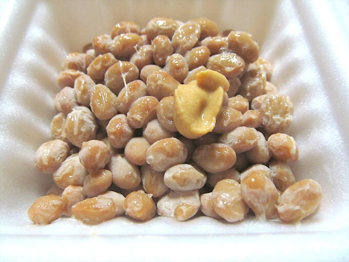 natto-day-20240710-046