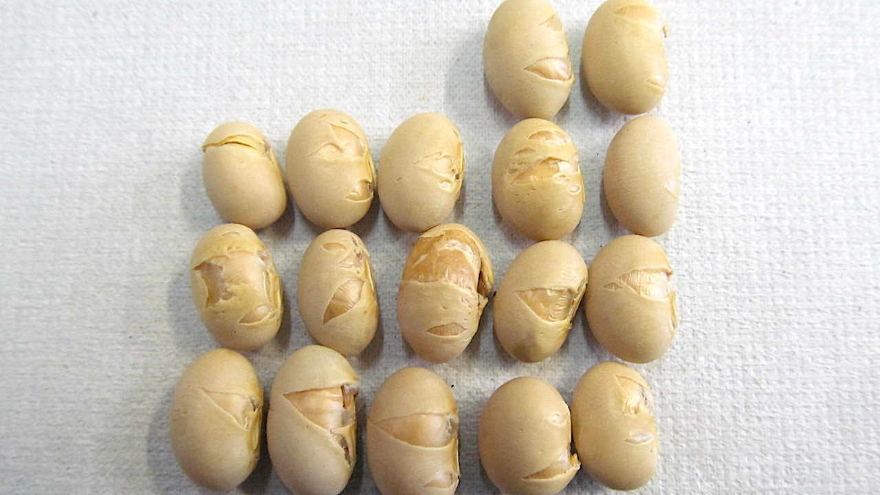 節分の日に福豆賞味20260203_アイキャッチ_1280調整後