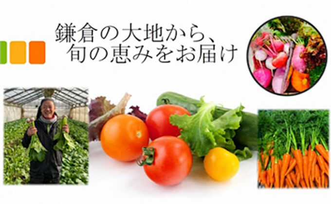 もとまちユニオン大船店_鎌倉野菜_1205_20260818